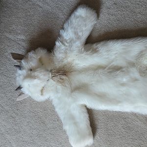 Pottery Barn Kids Billy Goat costume